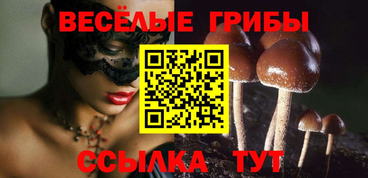 Псилоцибиновые грибы MAGIC MUSHROOMS Калуга