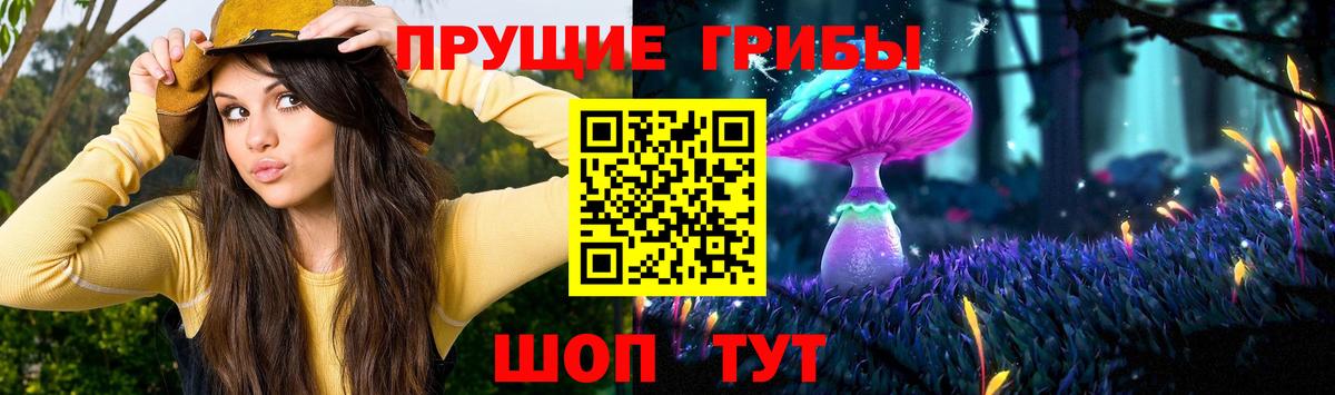 Галлюциногенные грибы GOLDEN TEACHER  Вход с VPN  Калуга 